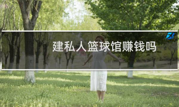 建私人篮球馆赚钱吗图片