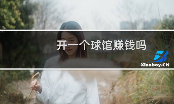 开一个球馆赚钱吗图片