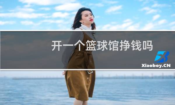 开一个篮球馆挣钱吗图片
