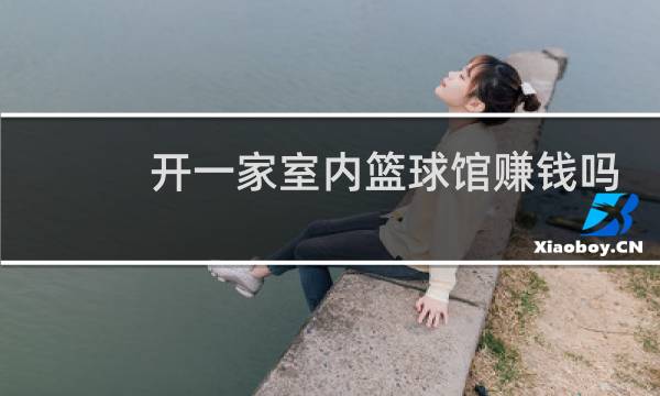 开一家室内篮球馆赚钱吗图片