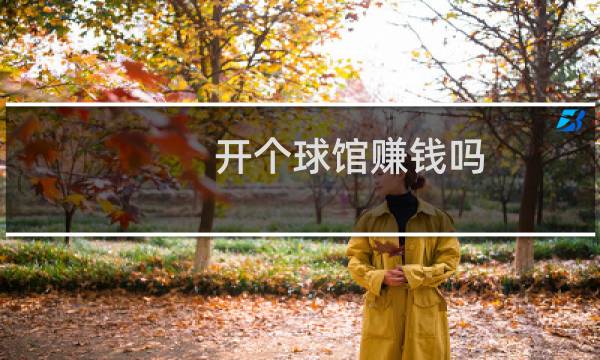 开个球馆赚钱吗图片