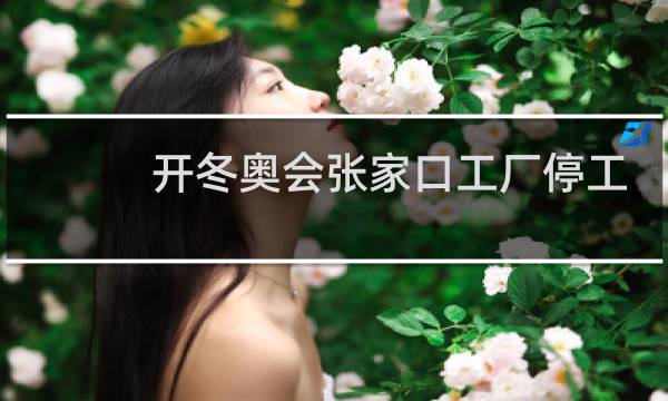 开冬奥会张家口工厂停工吗图片
