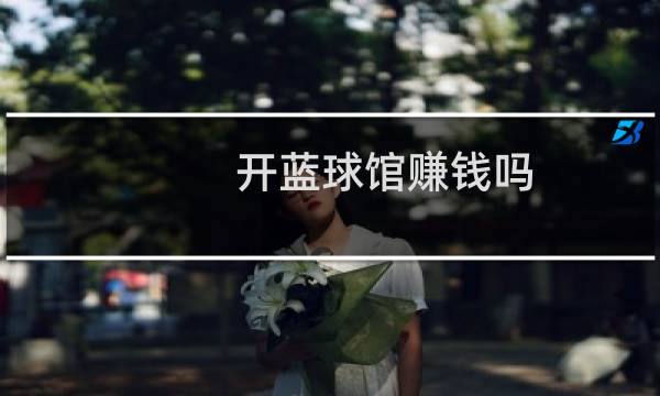 开蓝球馆赚钱吗图片