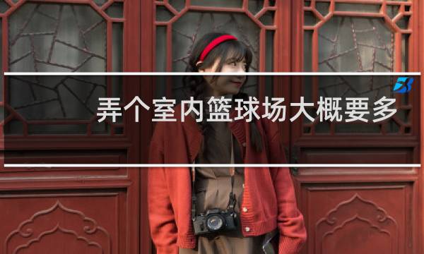 弄个室内篮球场大概要多少钱图片