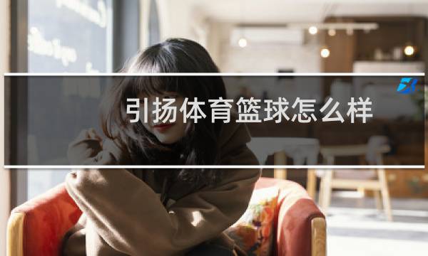 引扬体育篮球怎么样图片