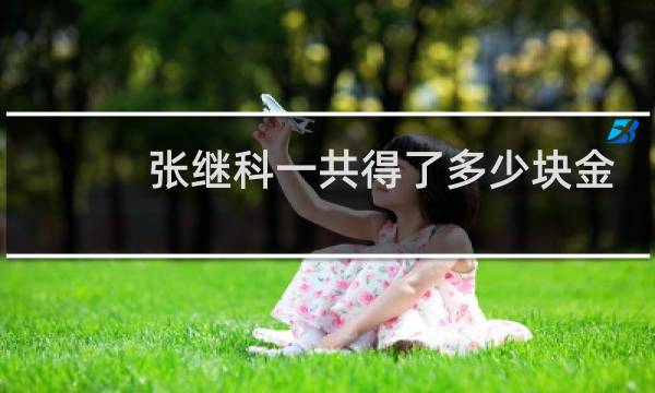 张继科一共得了多少块金牌图片