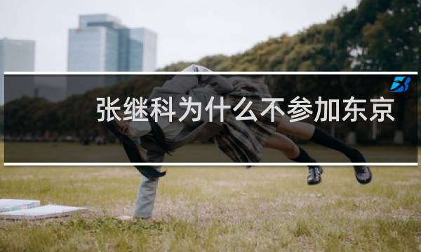 张继科为什么不参加东京奥运会图片
