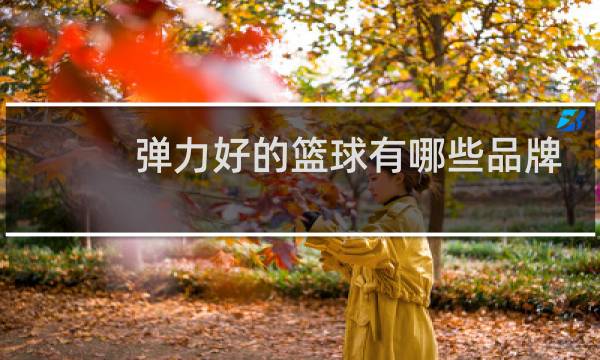 弹力好的篮球有哪些品牌图片