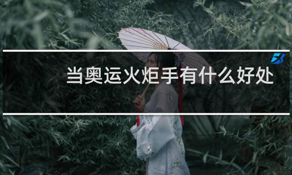 当奥运火炬手有什么好处图片