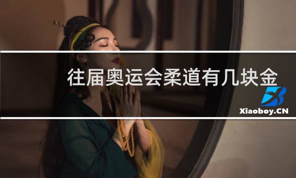 往届奥运会柔道有几块金牌图片