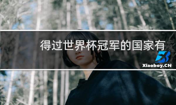 得过世界杯冠军的国家有哪些图片