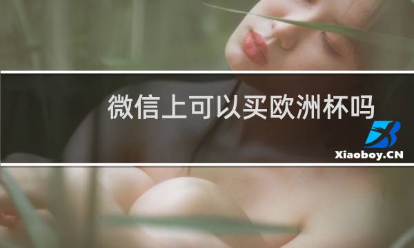 微信上可以买欧洲杯吗图片