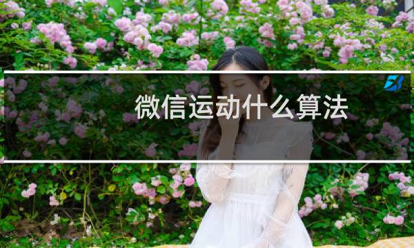微信运动什么算法图片