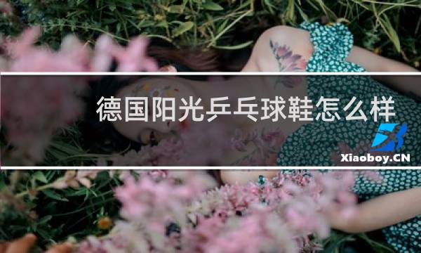 德国阳光乒乓球鞋怎么样图片