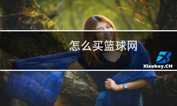 怎么买篮球网图片