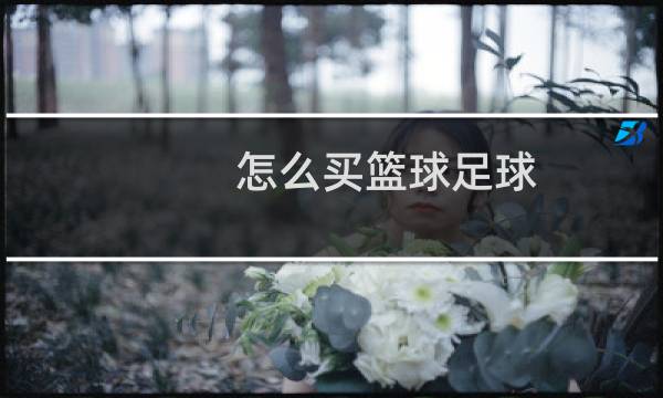怎么买篮球足球图片