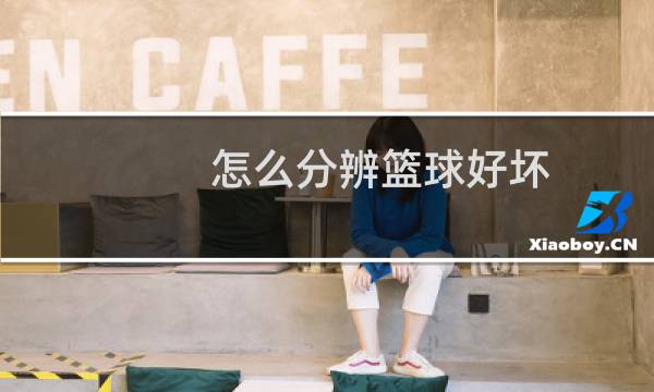 怎么分辨篮球好坏图片
