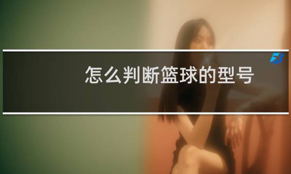 怎么判断篮球的型号图片