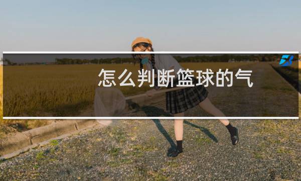 怎么判断篮球的气图片
