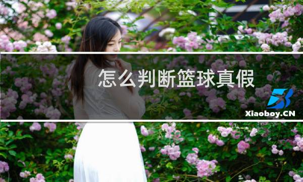 怎么判断篮球真假图片