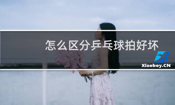 怎么区分乒乓球拍好坏图片
