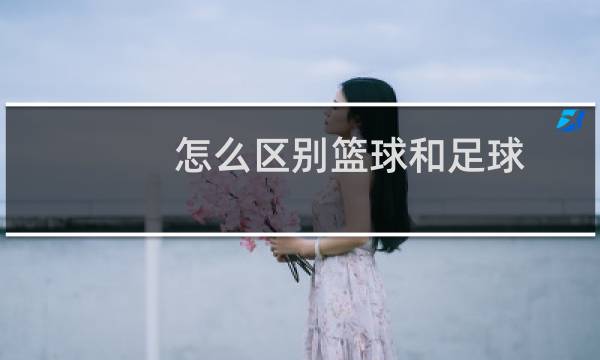 怎么区别篮球和足球图片