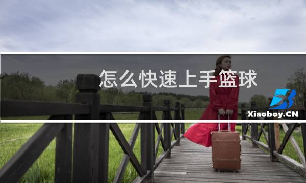 怎么快速上手篮球图片