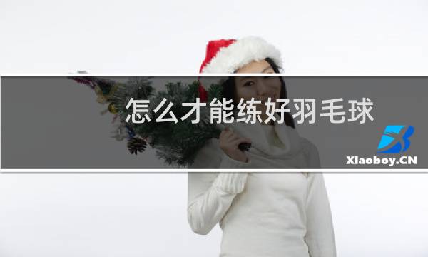 怎么才能练好羽毛球图片