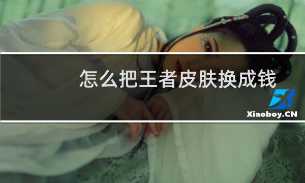 怎么把王者皮肤换成钱图片