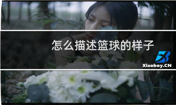 怎么描述篮球的样子图片