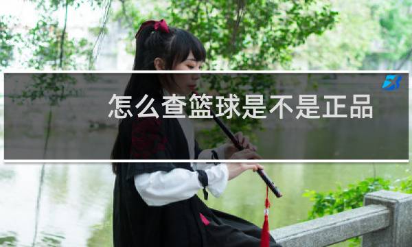 怎么查篮球是不是正品图片
