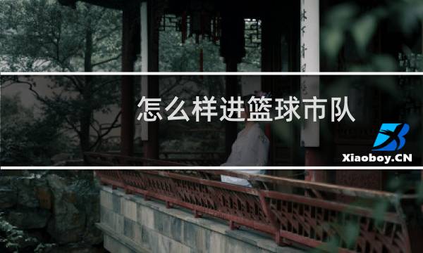 怎么样进篮球市队图片