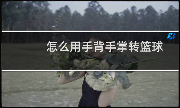 怎么用手背手掌转篮球图片