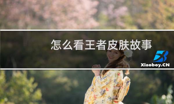 怎么看王者皮肤故事图片