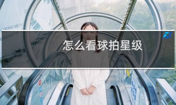 怎么看球拍星级图片
