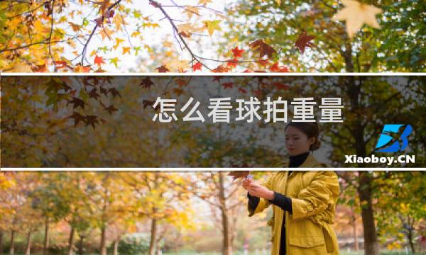 怎么看球拍重量图片