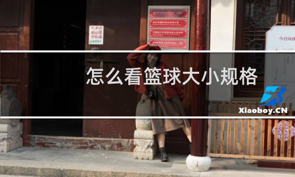 怎么看篮球大小规格图片
