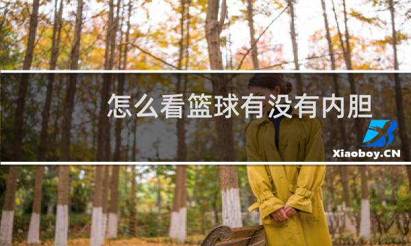 怎么看篮球有没有内胆图片
