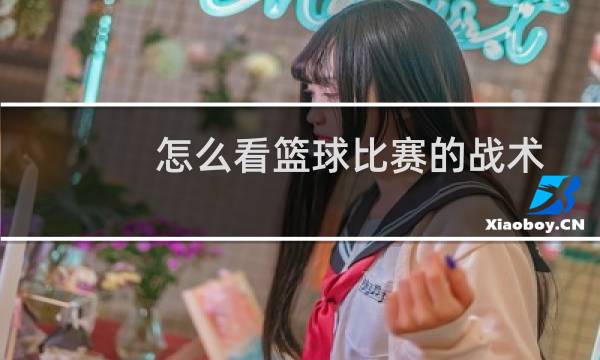 怎么看篮球比赛的战术图片