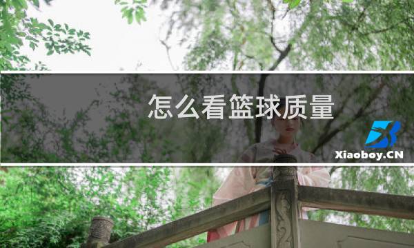 怎么看篮球质量图片