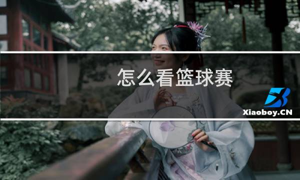 怎么看篮球赛图片