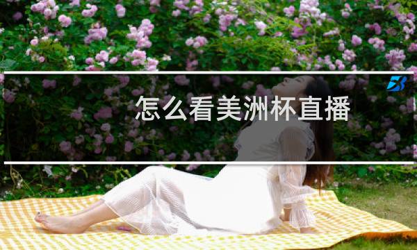 怎么看美洲杯直播图片