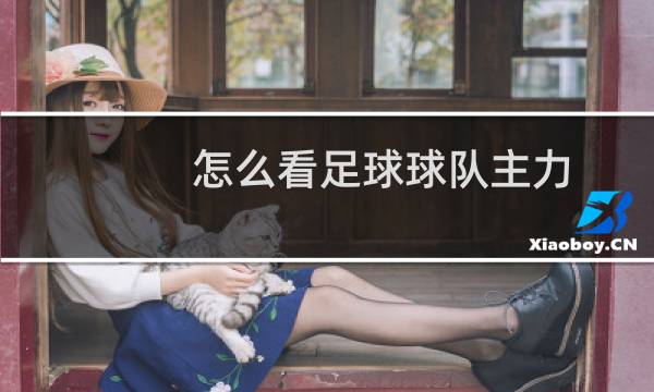 怎么看足球球队主力图片