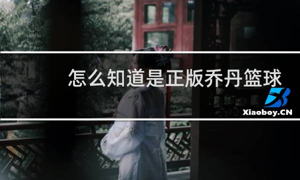 怎么知道是正版乔丹篮球图片