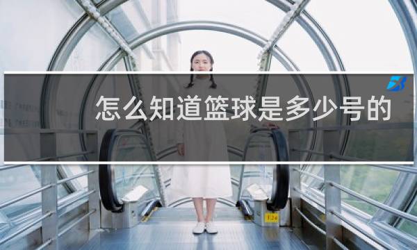 怎么知道篮球是多少号的图片
