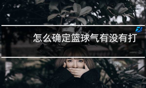 怎么确定篮球气有没有打足图片