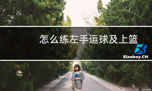怎么练左手运球及上篮图片