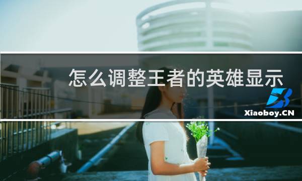 怎么调整王者的英雄显示图片
