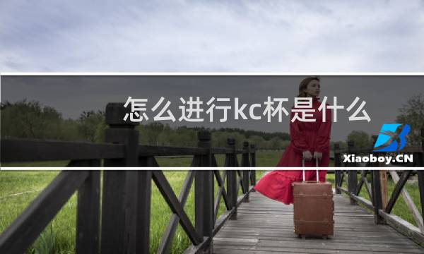 怎么进行kc杯是什么图片
