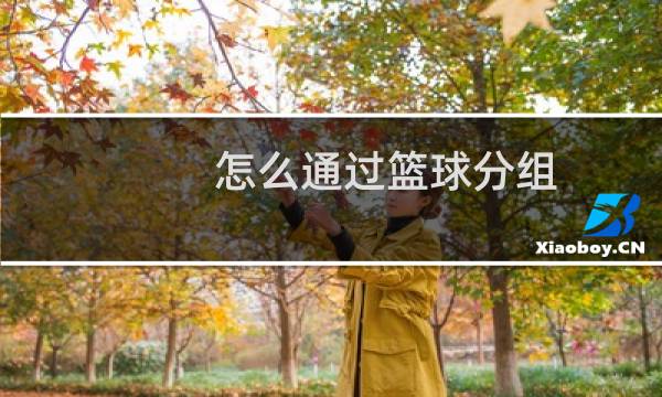 怎么通过篮球分组图片